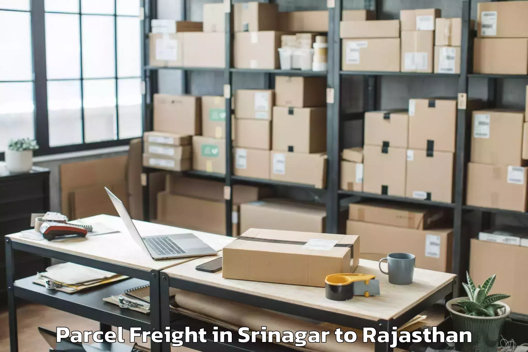 Hassle-Free Srinagar to Jaipur National University Jai Parcel Freight